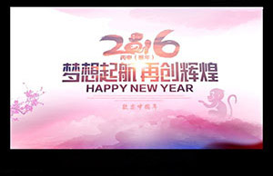 2016年年会，，，，，妄想起航-再创鲜丽